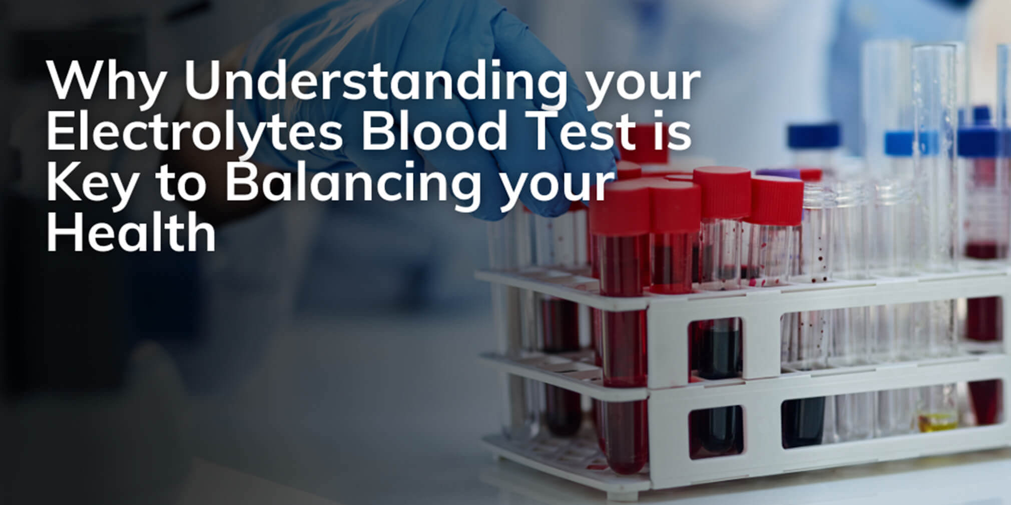 electrolytes blood test